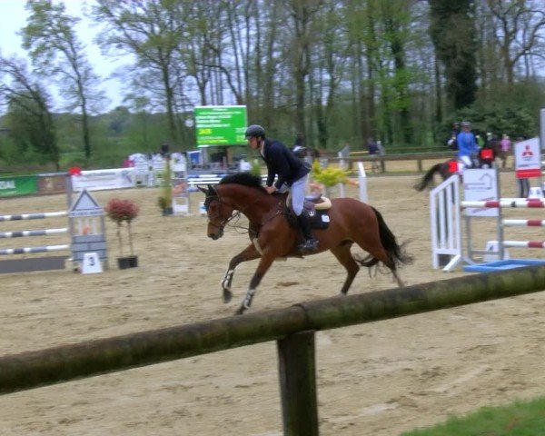 Reitturnier Rhede 2024