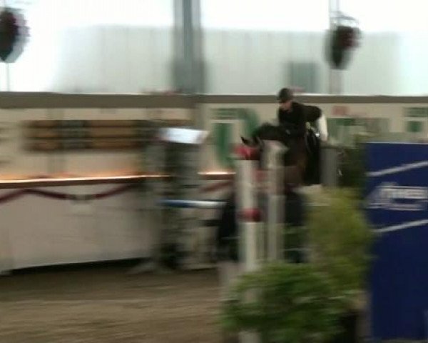 Hallenturnier beim RFV Südlohn-Oeding e.V. 2011