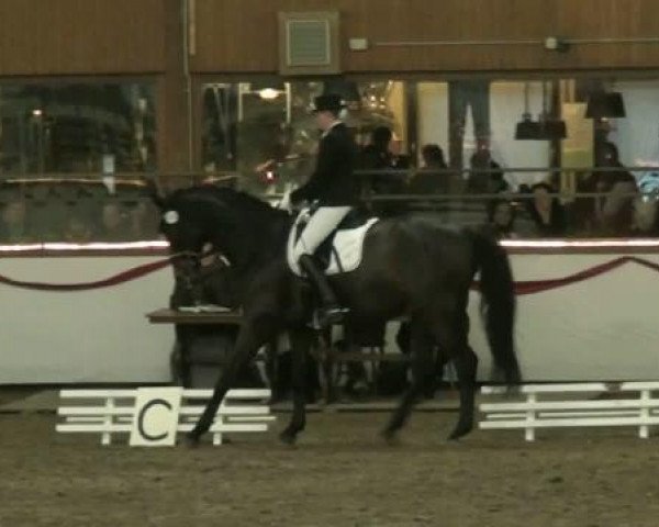 Hallenturnier beim RFV Südlohn-Oeding e.V. 2011