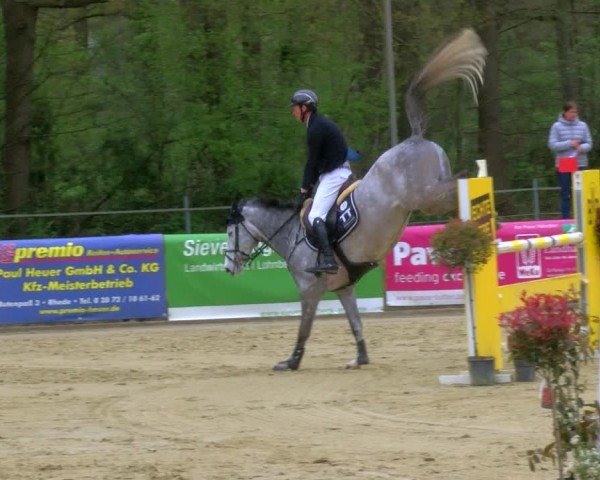 Reitturnier Rhede 2024