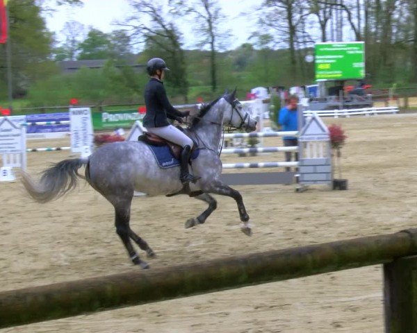 Reitturnier Rhede 2024