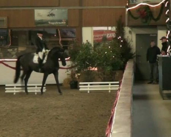 Hallenturnier beim RFV Südlohn-Oeding e.V. 2011