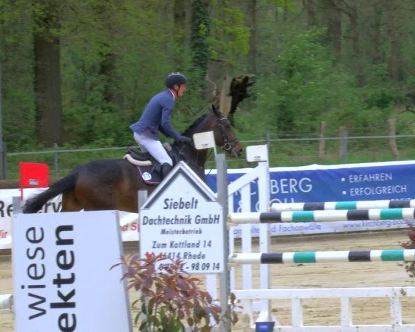Reitturnier Rhede 2024