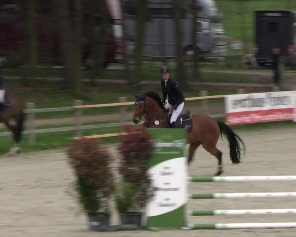 Reitturnier Westergellersen 2024