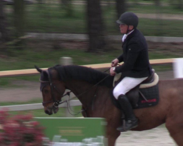 Reitturnier Westergellersen 2024