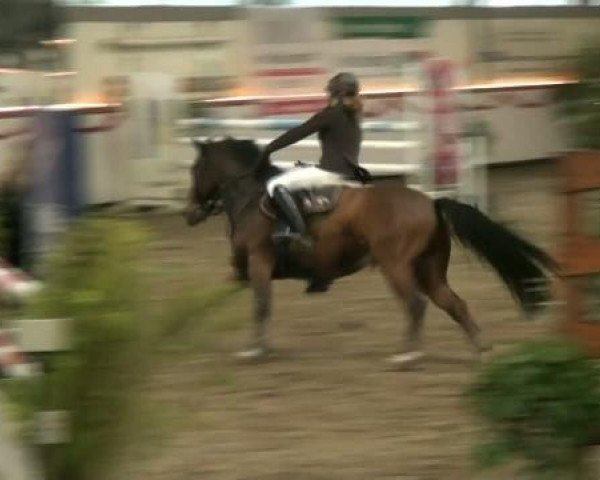 Hallenturnier beim RFV Südlohn-Oeding e.V. 2011