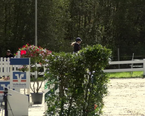 Reitturnier Isny-Rohrdorf 2021