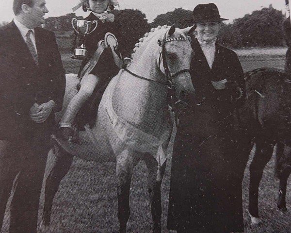 Koń Firle Yasmina (Brytyjski kuc wierzchowy, 1982, od Vean Cockalorum)