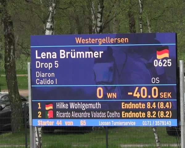 Reitturnier Westergellersen 2024