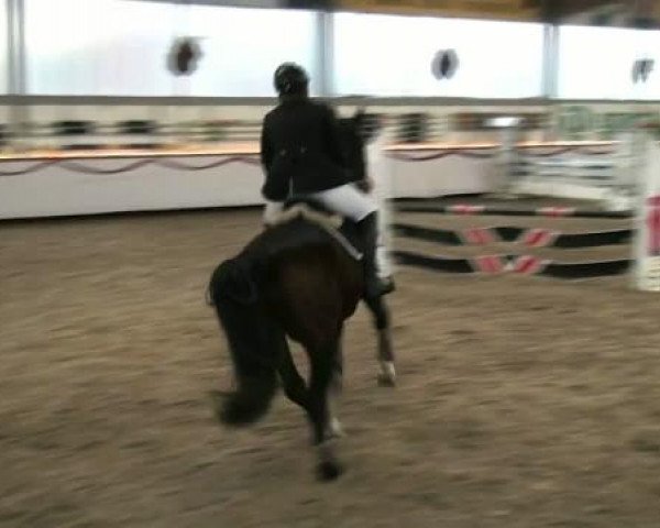 Hallenturnier beim RFV Südlohn-Oeding e.V. 2011
