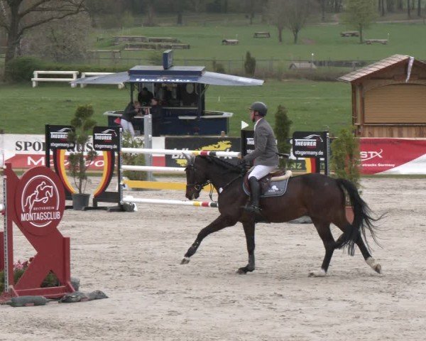 Reitturnier Westergellersen 2024