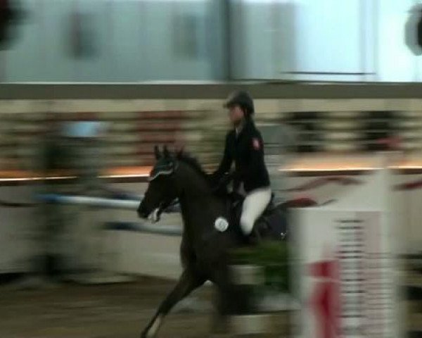 Hallenturnier beim RFV Südlohn-Oeding e.V. 2011