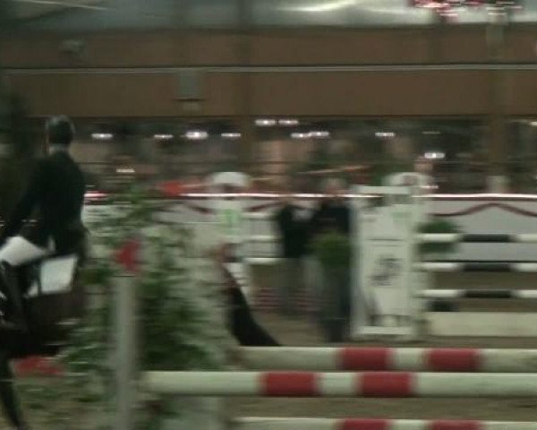 Hallenturnier beim RFV Südlohn-Oeding e.V. 2011