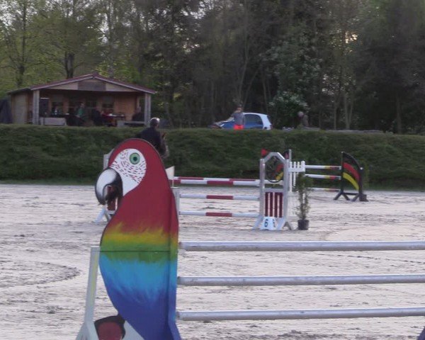Reitturnier Pietzpuhl 2024