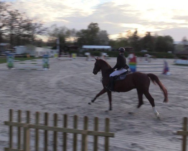 Reitturnier Pietzpuhl 2024