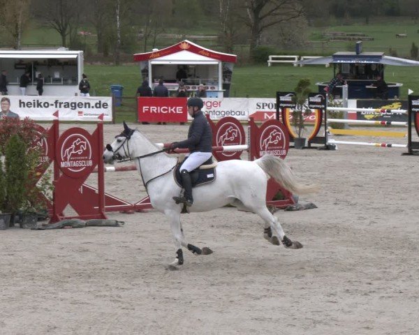 Reitturnier Westergellersen 2024