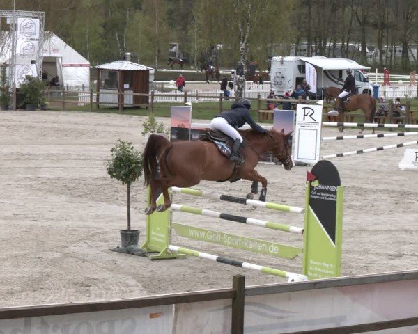 Reitturnier Westergellersen 2024