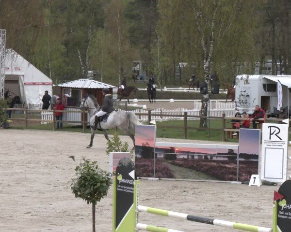 Reitturnier Westergellersen 2024