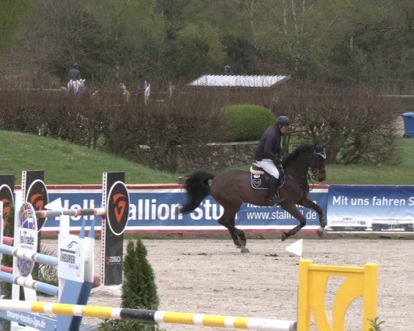 Reitturnier Westergellersen 2024