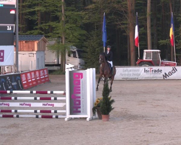 Reitturnier Ranshofen - Braunau am Inn 2024