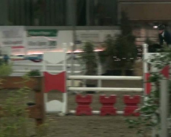 Hallenturnier beim RFV Südlohn-Oeding e.V. 2011