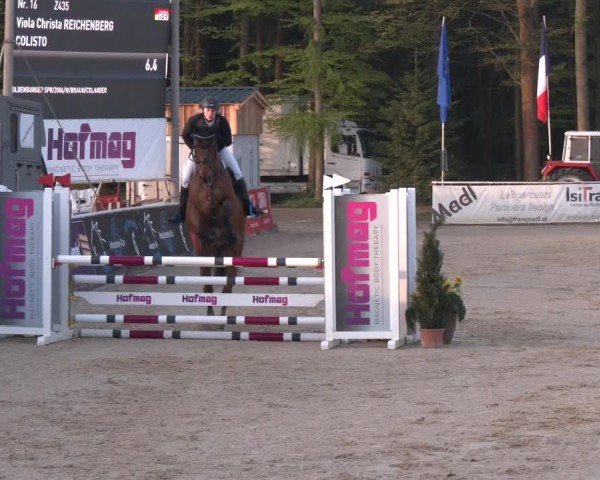 Reitturnier Ranshofen - Braunau am Inn 2024