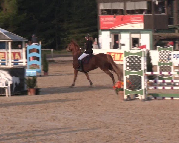 Reitturnier Ranshofen - Braunau am Inn 2024