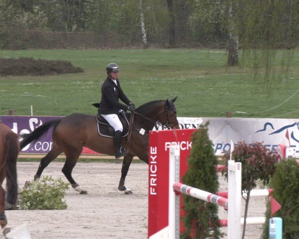 Reitturnier Westergellersen 2024