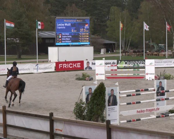Reitturnier Westergellersen 2024