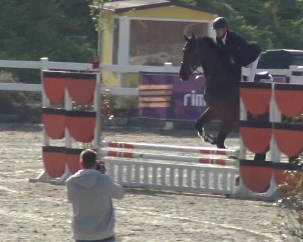 Reitturnier St. Margarethen 2024