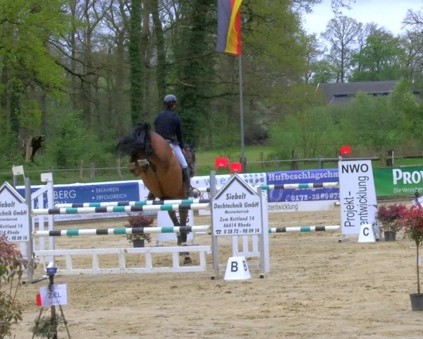 Reitturnier Rhede 2024