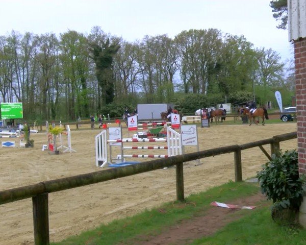 Reitturnier Rhede 2024