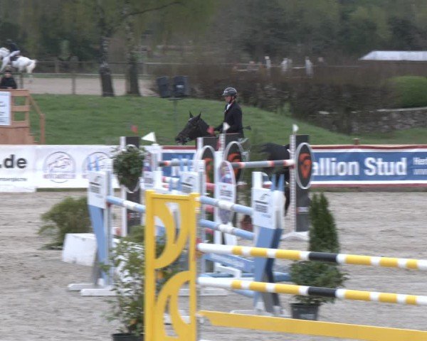 Reitturnier Westergellersen 2024