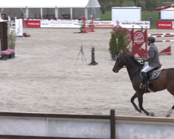 Reitturnier Westergellersen 2024