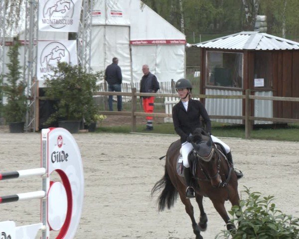 Reitturnier Westergellersen 2024