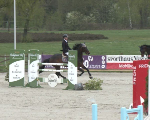 Reitturnier Westergellersen 2024