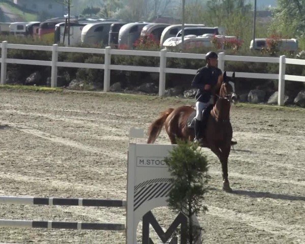 Reitturnier St. Margarethen 2024