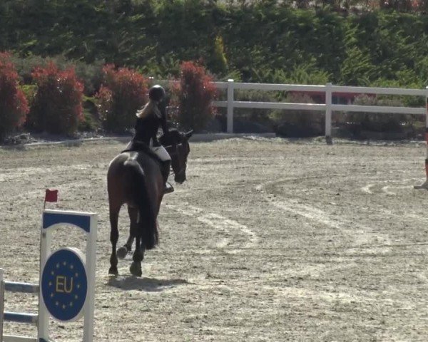 Reitturnier St. Margarethen 2024