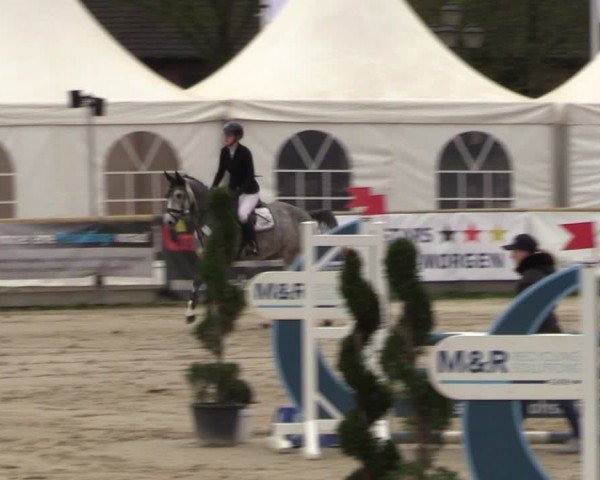 Lenklarer Reitertage Werne 2024
