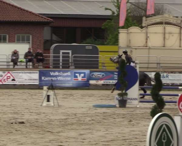 Lenklarer Reitertage Werne 2024