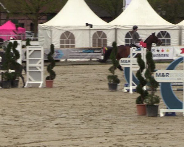 Lenklarer Reitertage Werne 2024