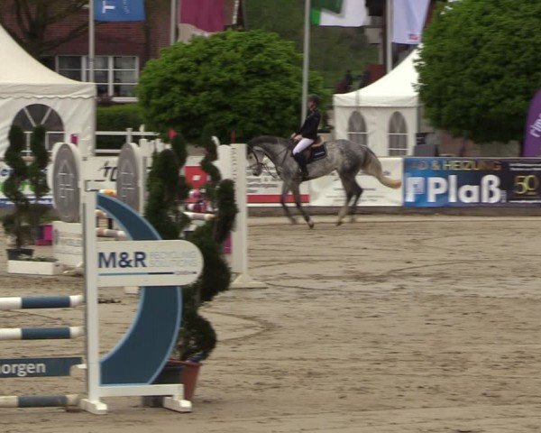 Lenklarer Reitertage Werne 2024