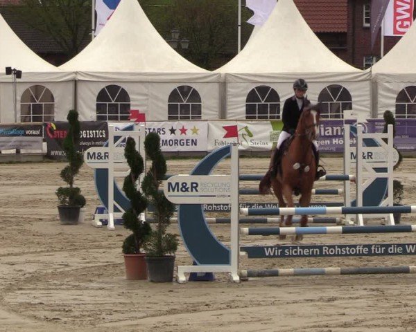 Lenklarer Reitertage Werne 2024