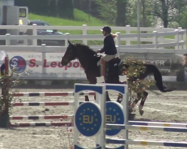 Reitturnier St. Margarethen 2024