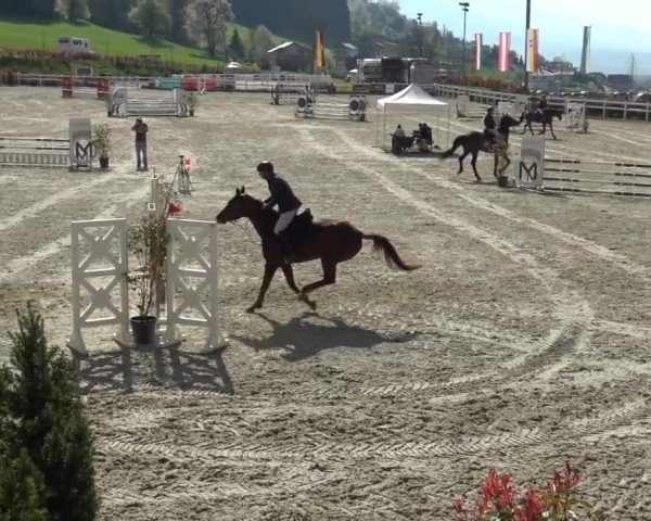 Reitturnier St. Margarethen 2024