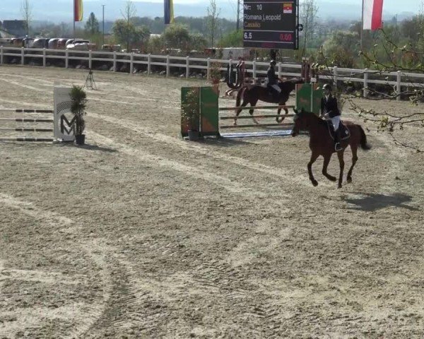 Reitturnier St. Margarethen 2024