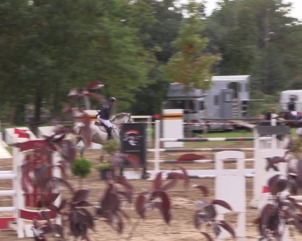 Reitturnier Baitz 2021