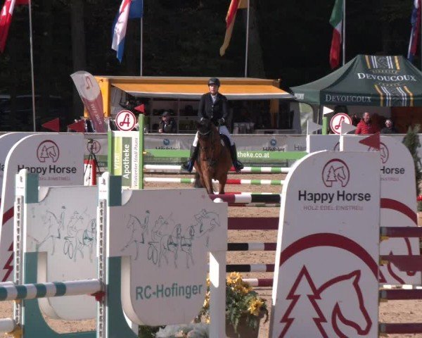 Reitturnier Ranshofen - Braunau am Inn 2024
