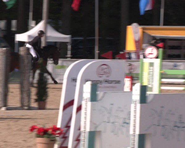 Reitturnier Ranshofen - Braunau am Inn 2024