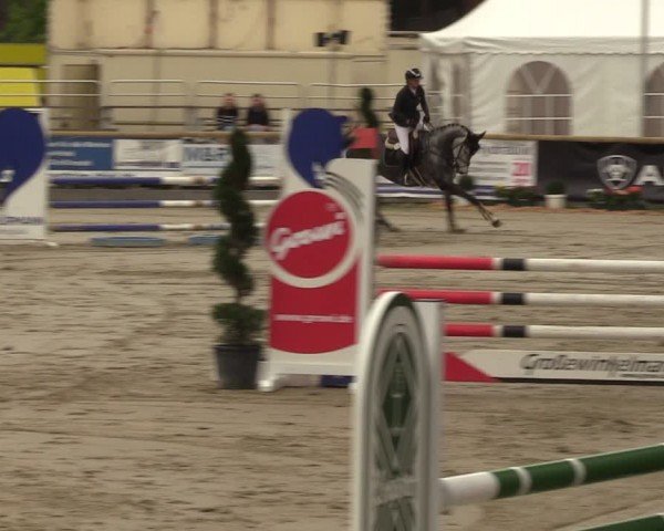 Reitturnier Werne-Lenklar 2024